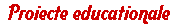 Proiecte Educationale
